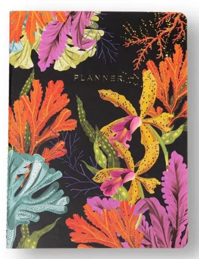 PLANNER PERMANENTE REVISTA OCEANO MENSAL 19X25 PROFUNDO