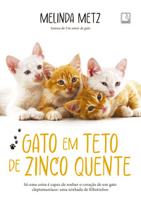 GATO EM TETO DE ZINCO QUENTE