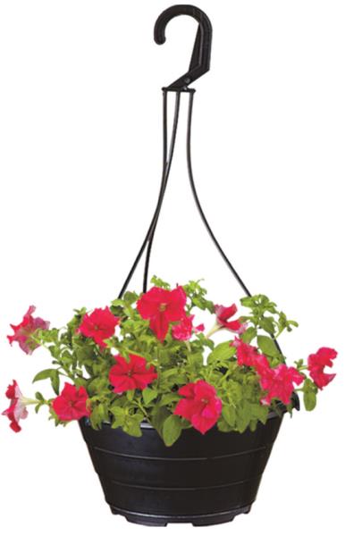 FLOREIRA C/ALCA PRETA Ø21 X 38 CM
