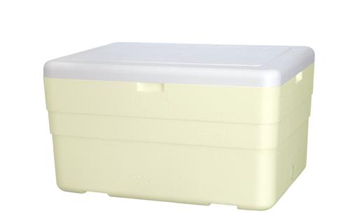 CAIXA TERMICA 100 LITROS - C/ DRENO