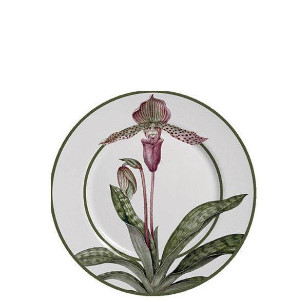 ORQUIDEA - PRATO SOBREMESA 21 CM - CAIXA C/ 6 PEÇAS