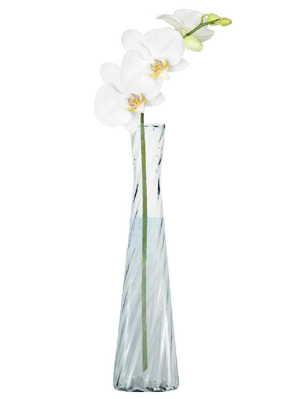 VASO SOLITARIO RIGADO - Ø07 X 27 CM - CAIXA C/ 24 PEÇAS