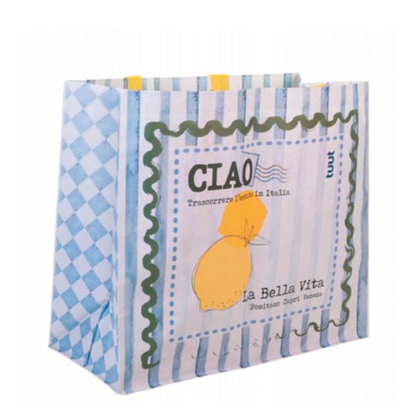 SACOLA REUTILIZAVEL ESTAMPADA 45 X 22 X 39 CM - CAIXA C/ 100 PEÇAS