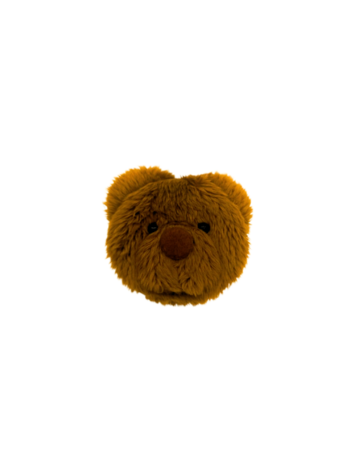 Cabeça de Urso Ted