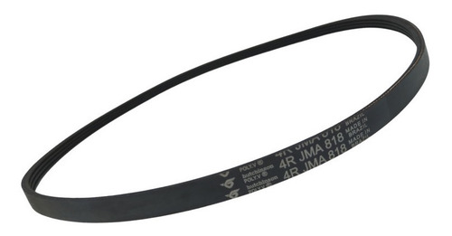 Correia Lavadora Tanquinho Mueller Family 4pje818 | Original