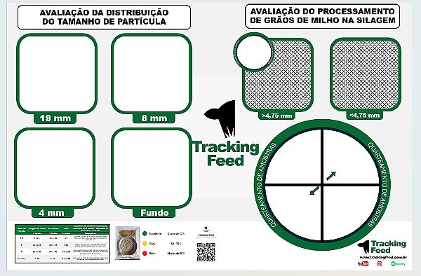 🆕 Painel de Apresentação de Resultados 🆕