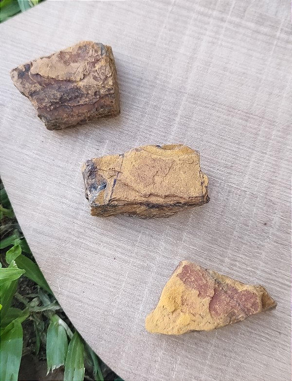 Pedra Bruta Olho de Tigre - Proteção e Confiança