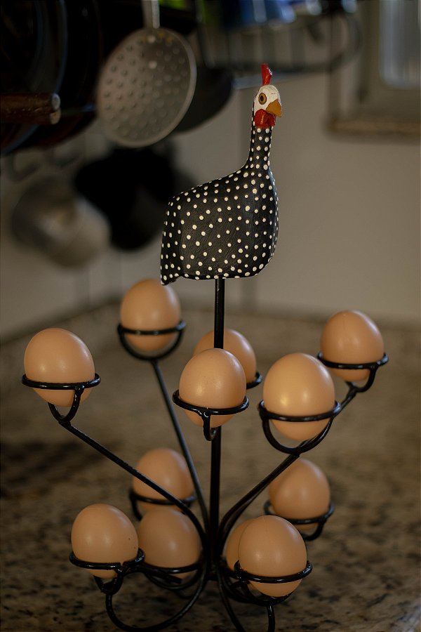 Porta ovo de Ferro de Galinha D'angola