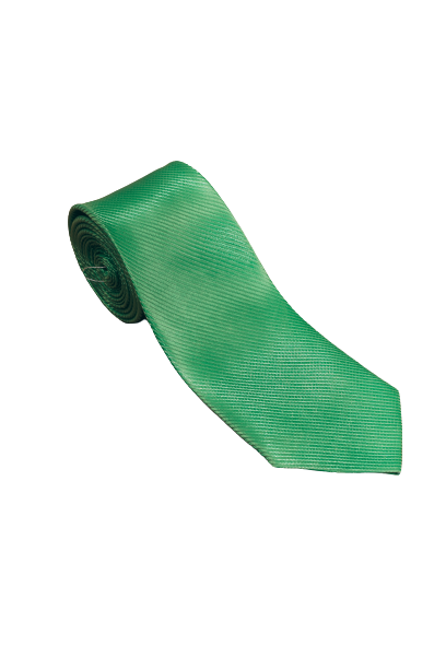 Gravata Slim Masculina - Adulta Verde