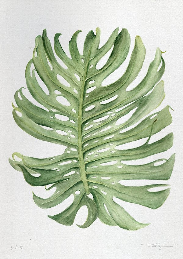 Um doce de costela, 2017 | 42 x 59,4 cm