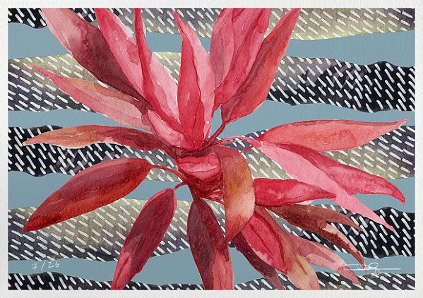 Polvo, 2016 | 21 x 15 cm