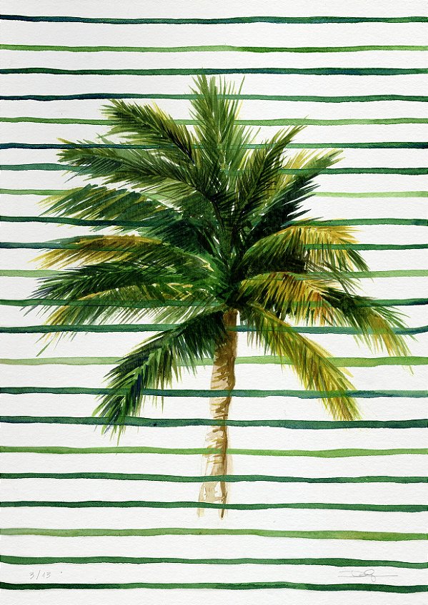 Coqueiro tranquilo, 2016 | 21 x 29,7 cm