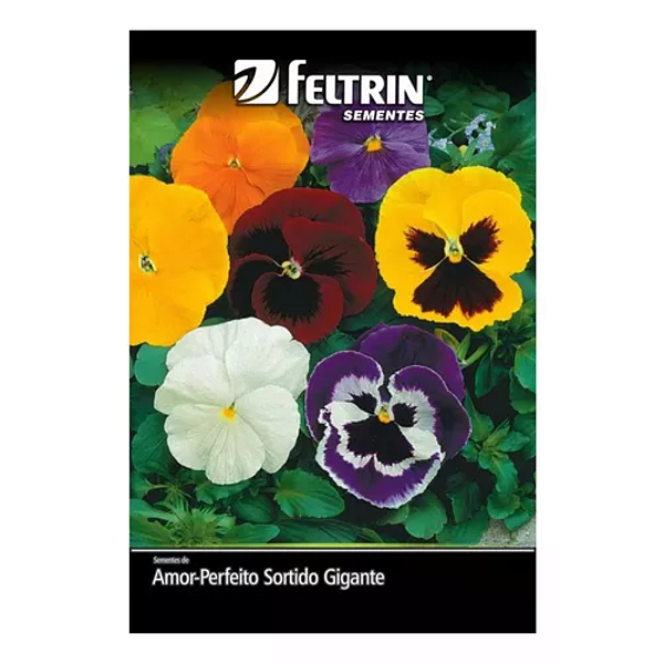 Sementes de Amor-Perfeito Gigante Suíço sort FELTRIN 70mg