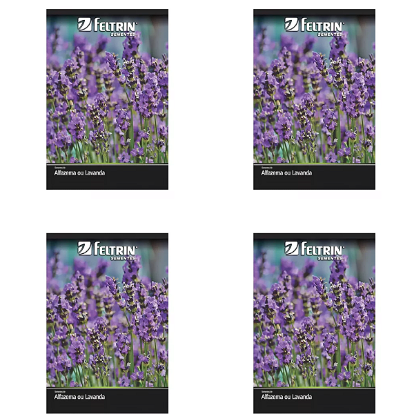KIT DE SEMENTES ALFAZEMA OU LAVANDA FELTRIN 4 UNID