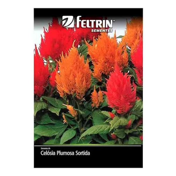 FELTRIN SEMENTE CELOSIA PLUMOSA SORTIDA 1PCT 400MG