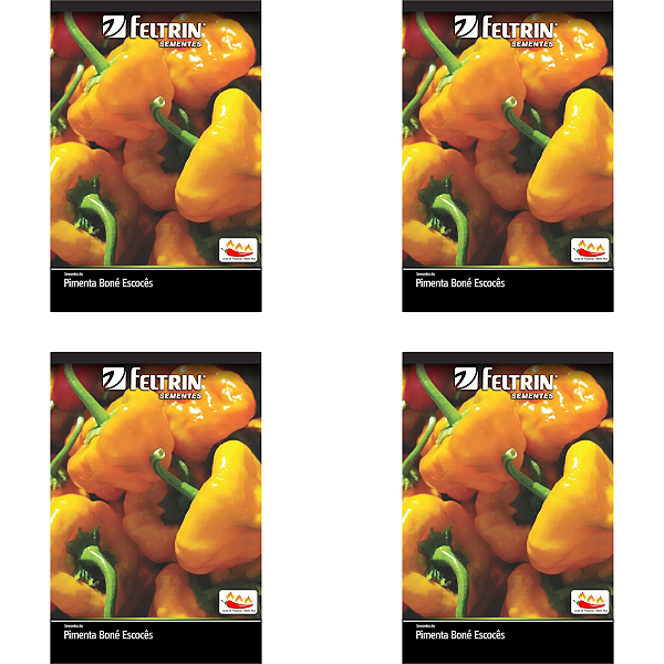 KIT 4 UN FELTRIN SEMENTE PIMENTA BONÉ ESCOCÊS 400MG