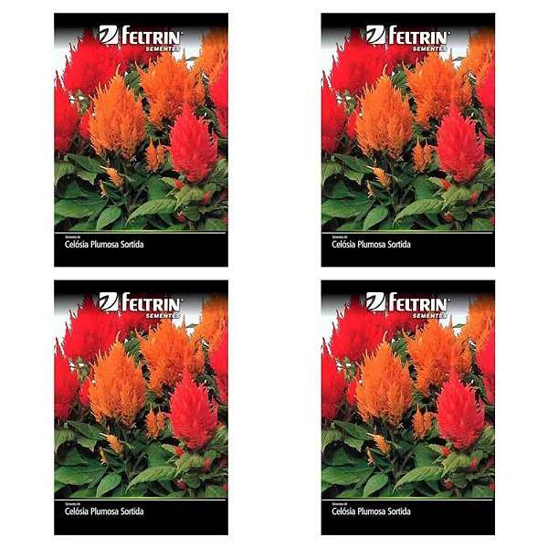 KIT 4 UN FELTRIN SEMENTE CELOSIA PLUMOSA SORTIDA 400MG