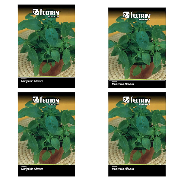 KIT 4 UN FELTRIN SEMENTE MANJERICAO ALFAVACA VERDE 1G