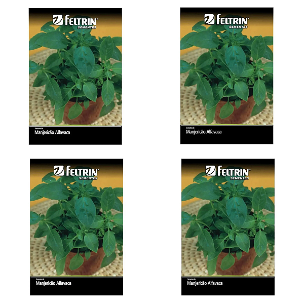 KIT 4 UN FELTRIN SEMENTE MANJERICAO ALFAVACA VERDE 400MG