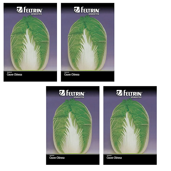 KIT 4 UN SEMENTE FELTRIN COUVE CHINESA MICHUILII 1G