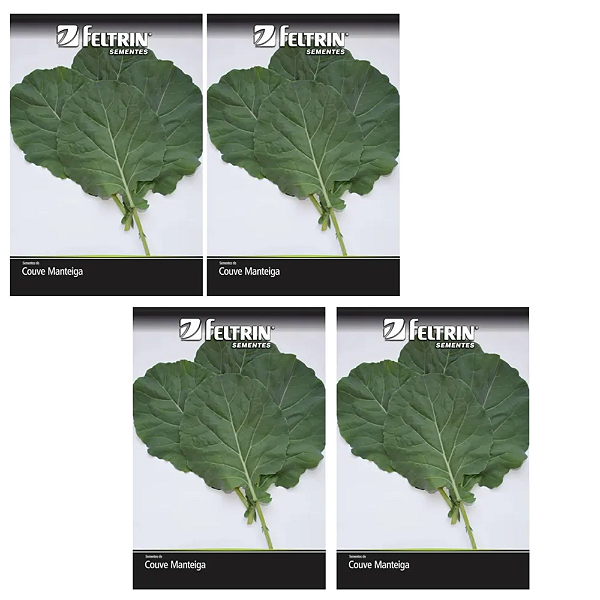 KIT 4 UN FELTRIN SEMENTES DE COUVE DE FOLHA MANTEIGA 1G