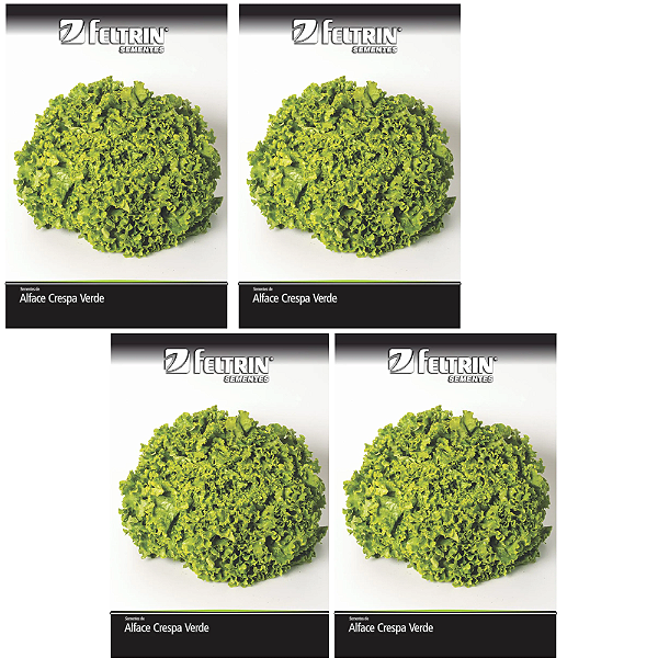 KIT 4 UN FELTRIN SEMENTE ALFACE CINDERELA 2,5G