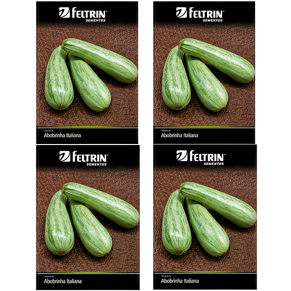 FELTRIN KIT SEMENTE ABOBRINHA CASERTA ITALIANA  8G 4UN