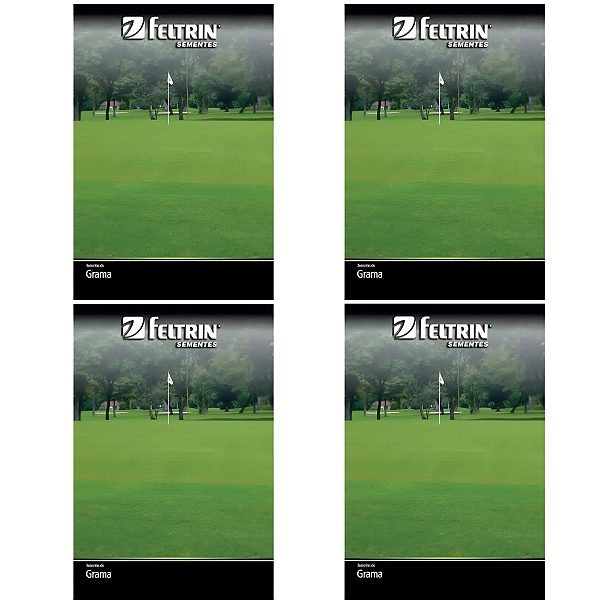 FELTRIN KIT SEMENTE GRAMA BERMUDA  3G 4UN