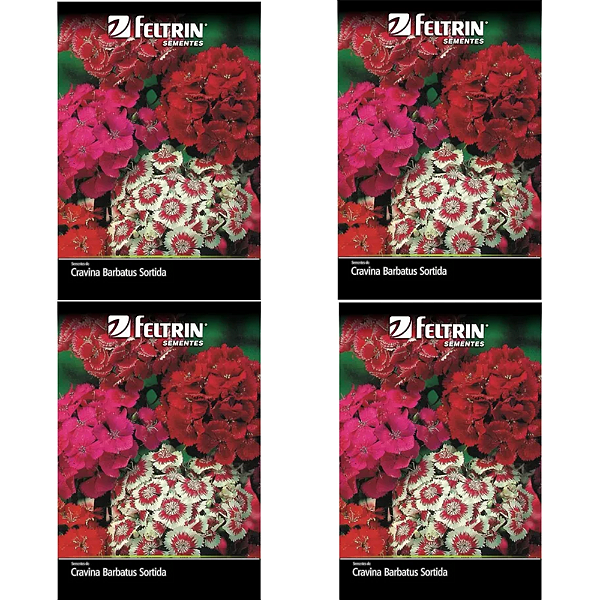 FELTRIN KIT SEMENTE CRAVINA BARBATUS SORTIDA 200MG 4UN