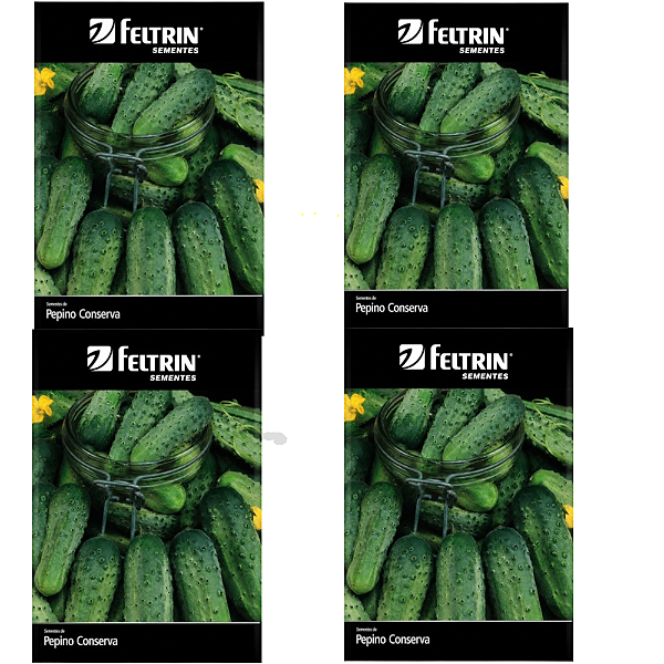 FELTRIN KIT SEMENTE PEPINO WISCONSIN  CONSERVA 1G 4UN