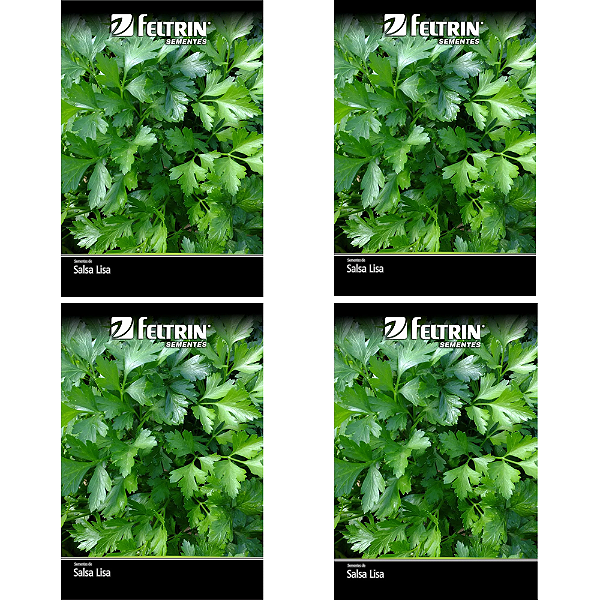 FELTRIN KIT SEMENTE SALSA LISA 900G 4UN