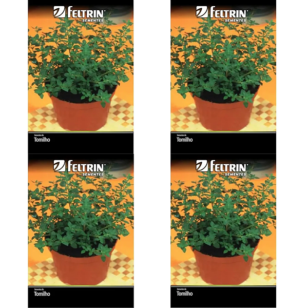 FELTRIN KIT SEMENTE TOMILHO 120MG 4UN