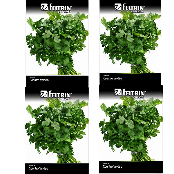 FELTRIN KIT SEMENTE COENTRO VERDAO 1,6G 4UN