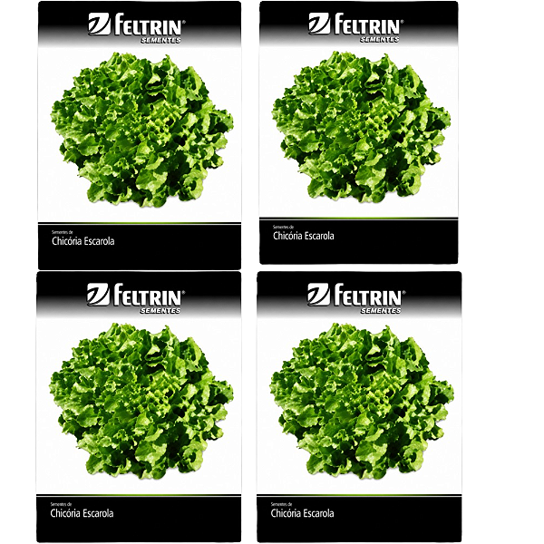 FELTRIN KIT SEMENTE CHICORIA GIGANTE BARBARELA 700MG 4UN
