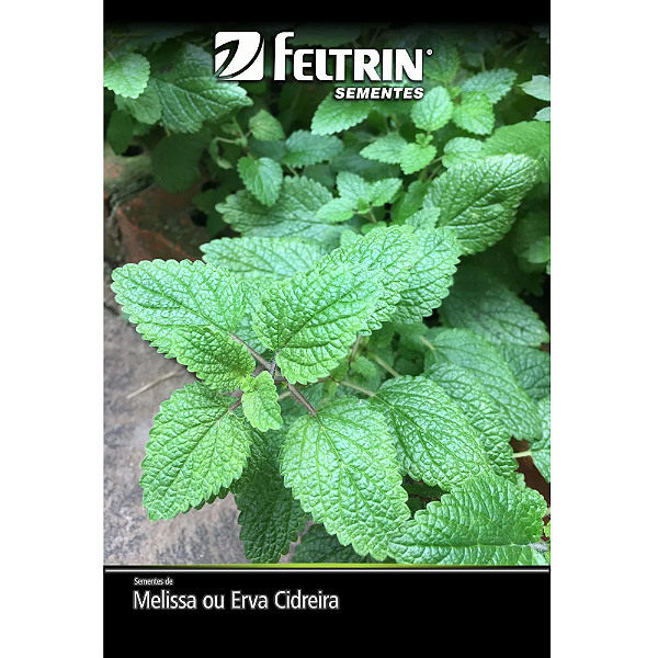 FELTRIN SEMENTE MELISSA ERVA CIDREIRA OU MELIS 350MG