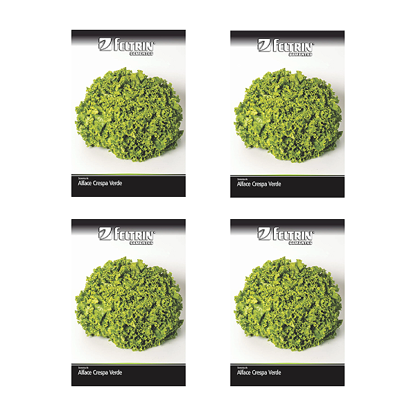 FELTRIN SEMENTE ALFACE CINDERELA (ALFACE CRESPA) 700MG 4UN