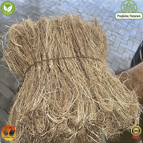 Raiz do Patchouly do Pará  Pacote com 100 maços
