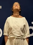 Blusa Antonia navy late