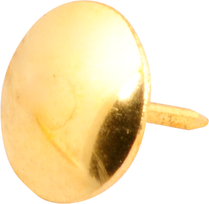 Percevejo latonado VONDER