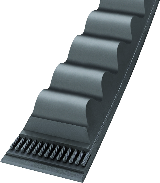 Correia em V dentada 13AX 20541076/20778689 CONTINENTAL