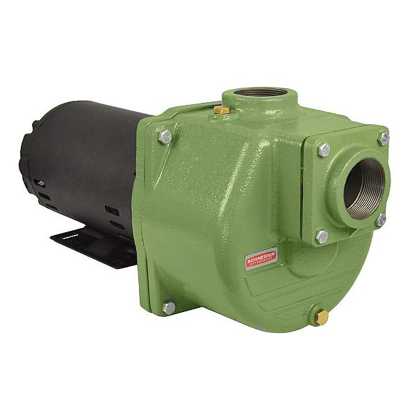 Motobomba auto aspirante 1,50 cv 127V/220V 1.1/2" x 1.1/2" BCA-40-1.1/2 SCHNEIDER