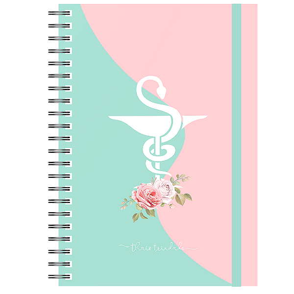 Controle Financeiro : Profissão Verde/Rosa