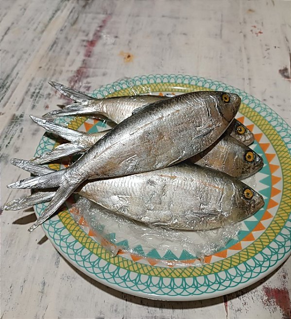 Peixe P artificial para decoração.