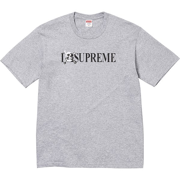 SUPREME - Camiseta Skull FW25 "Cinza" -NOVO-