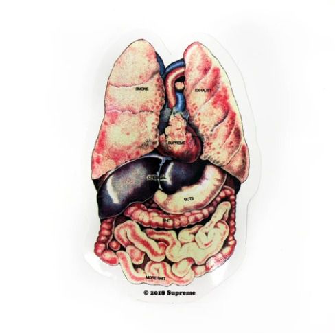 SUPREME - Adesivo FW18 Guts Organs Raw Lungs -NOVO-