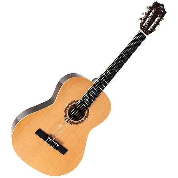 Violao Michael Acustic Ny Vm19E
