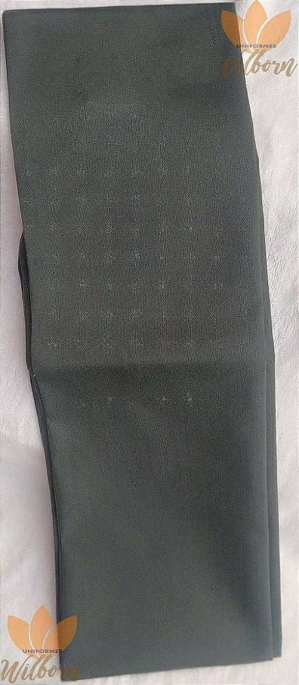 FAIXA DE ESPECIALIDADES PARA DESBRAVADORES SEM BORDADOS