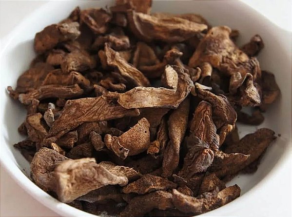 Funghi Seco Chileno - 500g