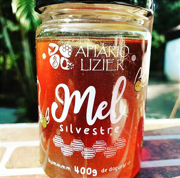 Mel Silvestre 400g - Apiário Lizier