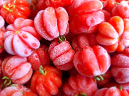 Polpa De Pitanga Congelada 1 kg - CARLOS ALBERTO